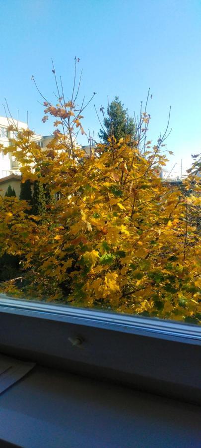 Pokoje Rodzinne Hanna Gdańsk Exteriör bild